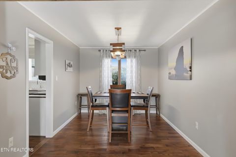 Tiny photo for 7940 Castlecomb Rd, Powell, TN 37849 (MLS # 1329389)