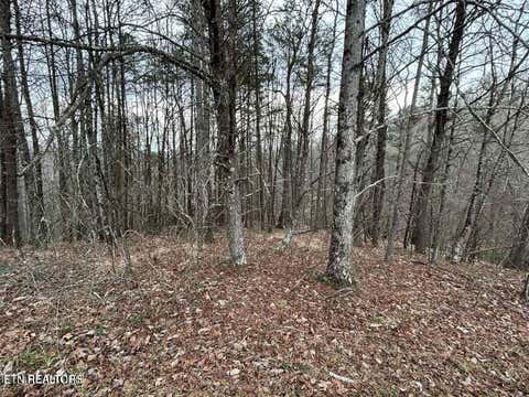 Tiny photo for Black Hawk Drive, Ten Mile, TN 37880 (MLS # 1347189)