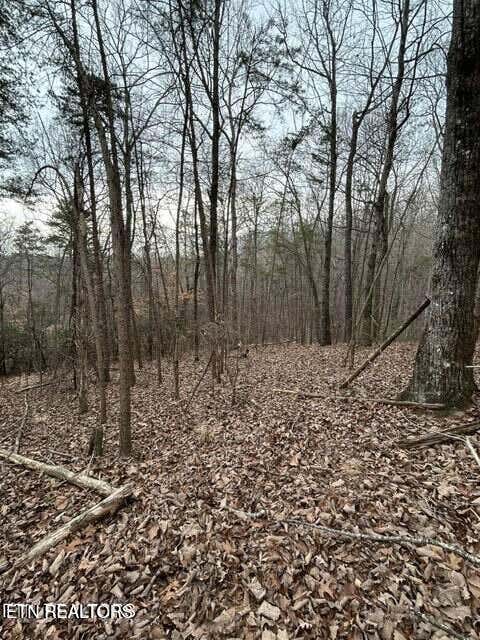 Tiny photo for Black Hawk Drive, Ten Mile, TN 37880 (MLS # 1347189)