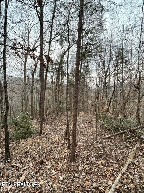 Tiny photo for Black Hawk Drive, Ten Mile, TN 37880 (MLS # 1347189)