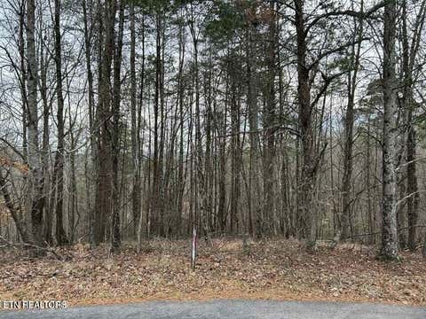 Tiny photo for Black Hawk Drive, Ten Mile, TN 37880 (MLS # 1347189)