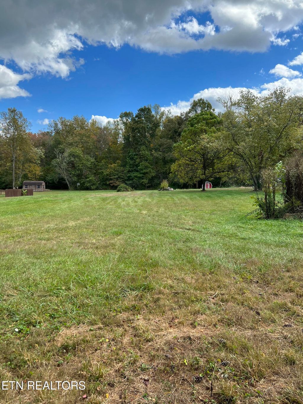 Photo of 1231 Airport Rd, Oakdale, TN 37829 (MLS # 1320251)