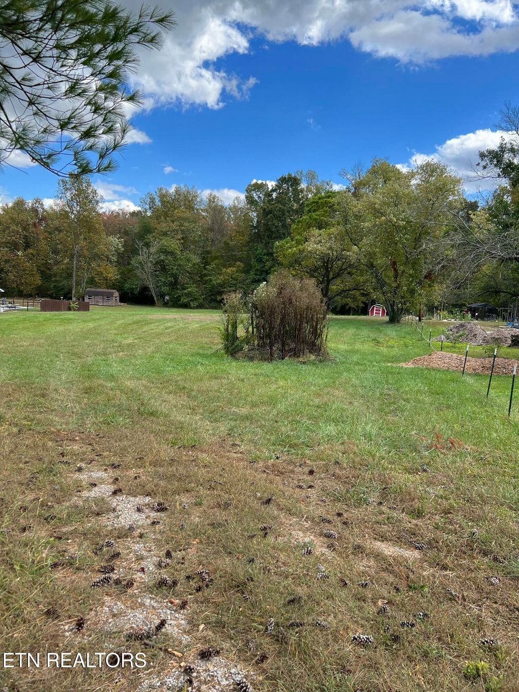 Photo of 1231 Airport Rd, Oakdale, TN 37829 (MLS # 1320251)