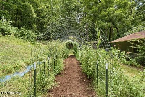 Tiny photo for 1731 Vonore Rd, Loudon, TN 37774 (MLS # 1348747)