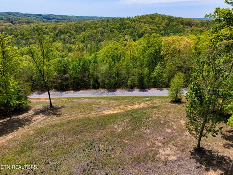 Tiny photo for 1003 Sheerwater Rd, Kingston, TN 37763 (MLS # 1298369)