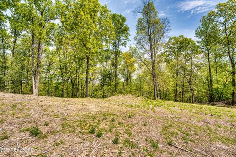 Tiny photo for 1003 Sheerwater Rd, Kingston, TN 37763 (MLS # 1298369)