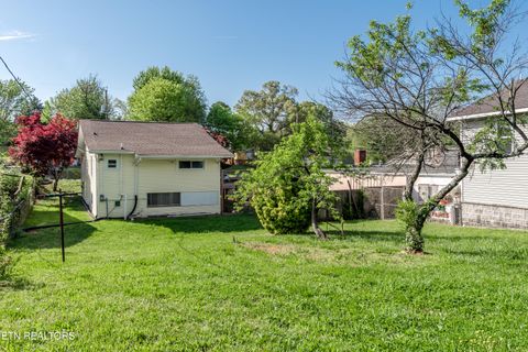Tiny photo for 1915 McCroskey Ave, Knoxville, TN 37917 (MLS # 1338063)