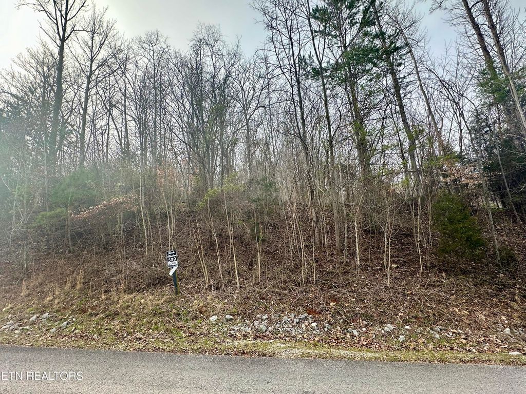 Photo of 520 Mystic Star Drive, New Tazewell, TN 37825 (MLS # 1255508)