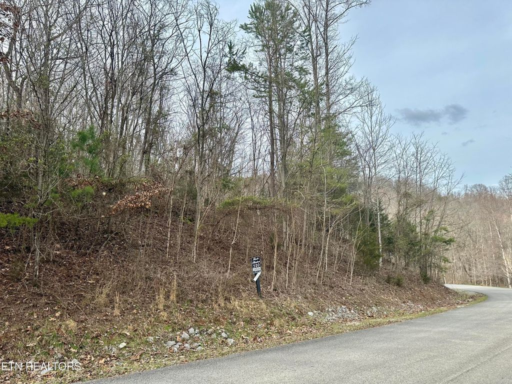 Photo of 520 Mystic Star Drive, New Tazewell, TN 37825 (MLS # 1255508)