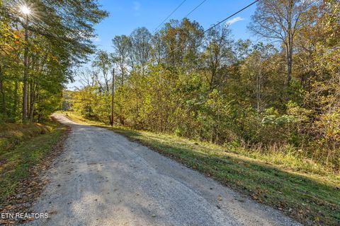 Photo of Cave Valley Rd, Byrdstown, TN 38549 (MLS # 1320270)