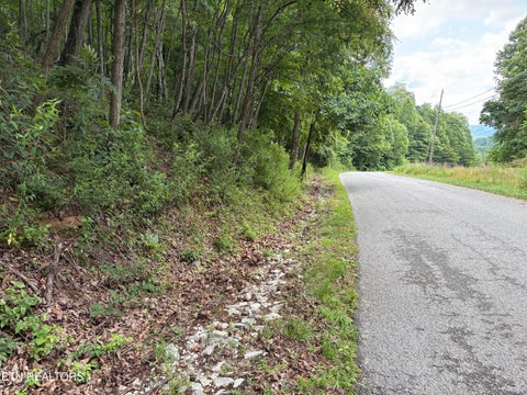 Photo of Whistle Valley Rd #130, New Tazewell, TN 37825 (MLS # 1345346)