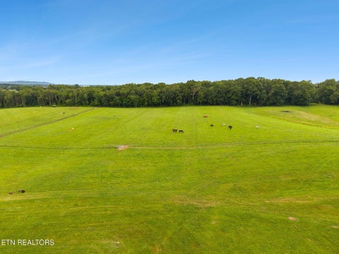 Tiny photo for 3173 Genesis Rd, Crossville, TN 38571 (MLS # 1359326)