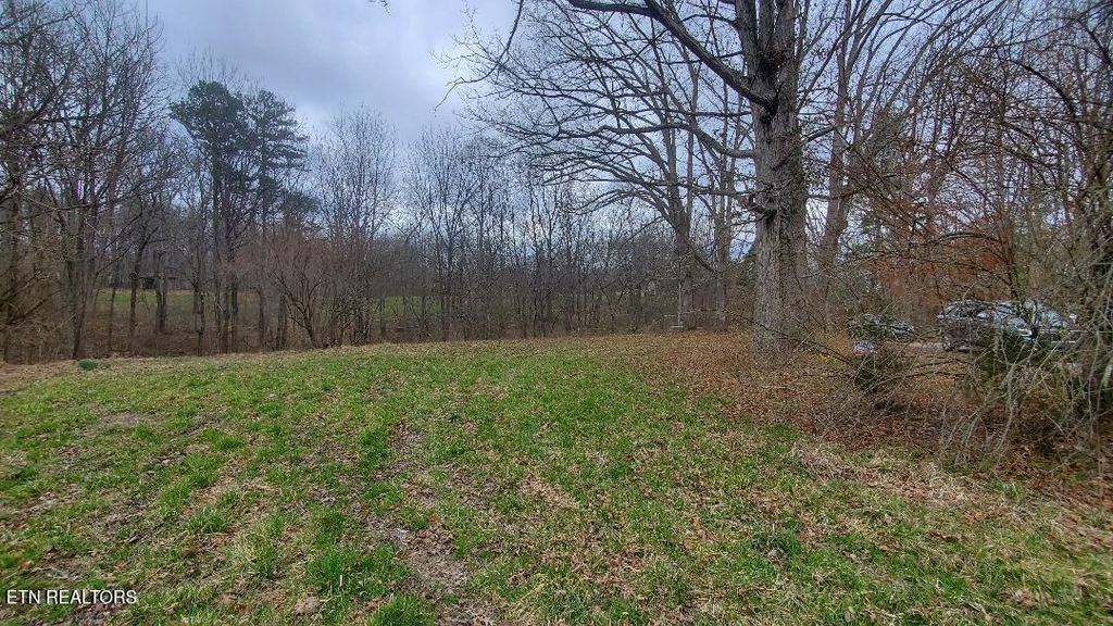 Photo of 226 Keeton Lane, Oneida, TN 37841 (MLS # 1331328)