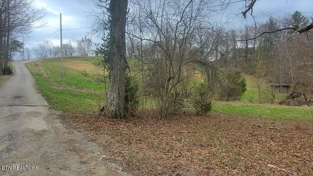 Photo of 226 Keeton Lane, Oneida, TN 37841 (MLS # 1331328)