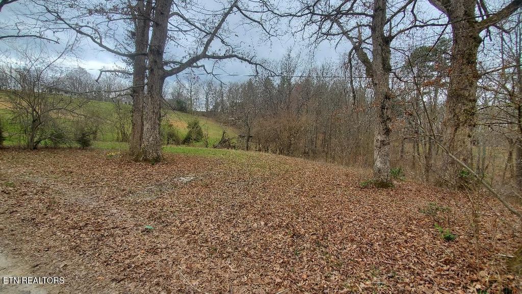 Photo of 226 Keeton Lane, Oneida, TN 37841 (MLS # 1331328)