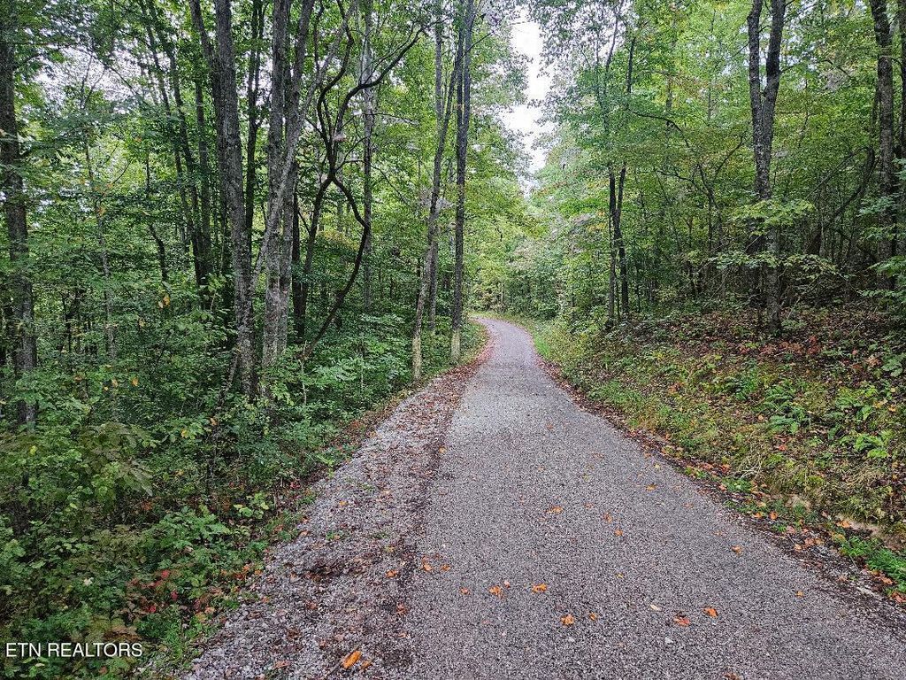 Photo of Sells Cemetery Rd, Wilder, TN 38589 (MLS # 1342194)