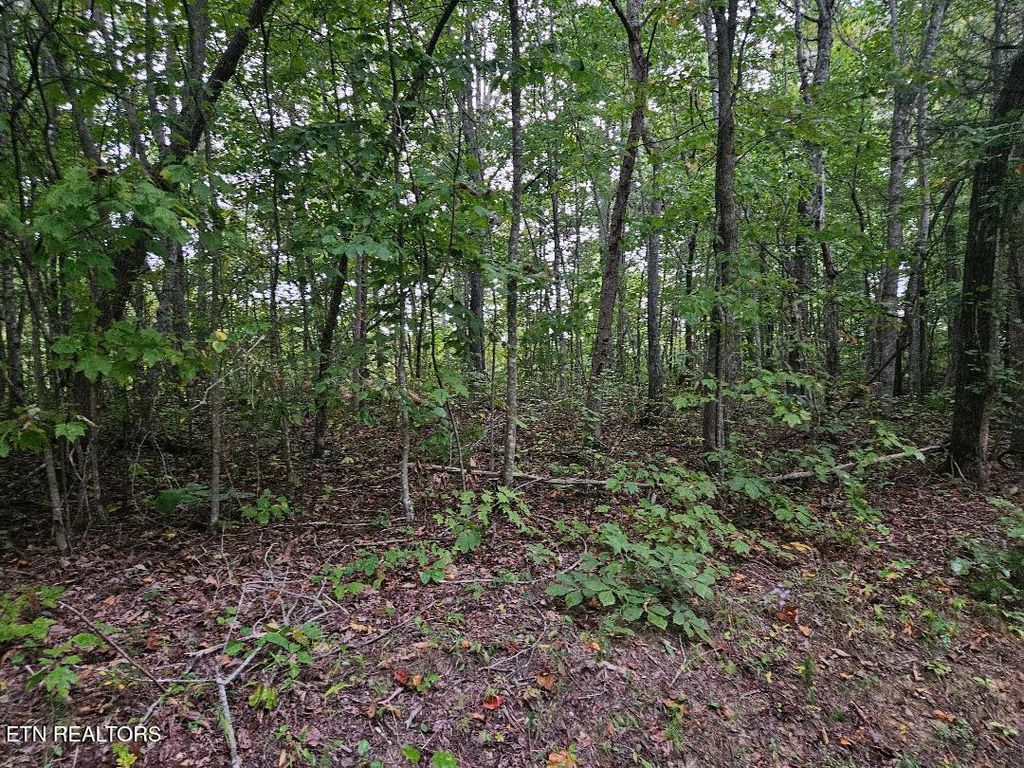 Photo of Sells Cemetery Rd, Wilder, TN 38589 (MLS # 1342194)
