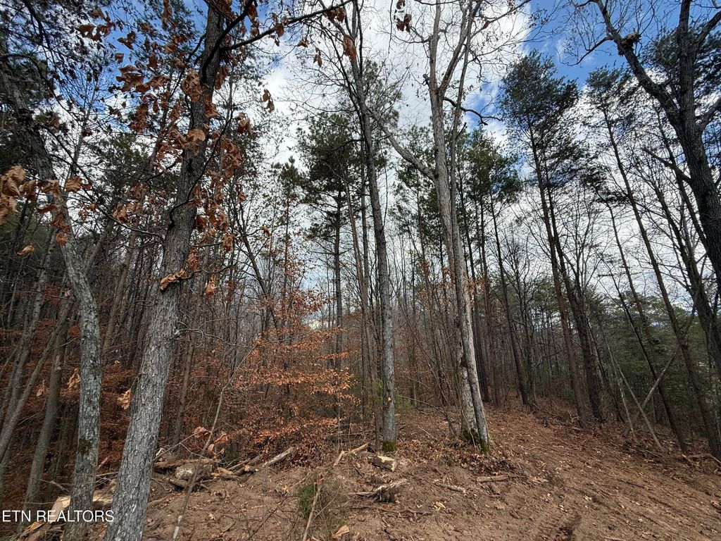 Photo of 3 Parksville Road, Benton, TN 37307 (MLS # 1322751)