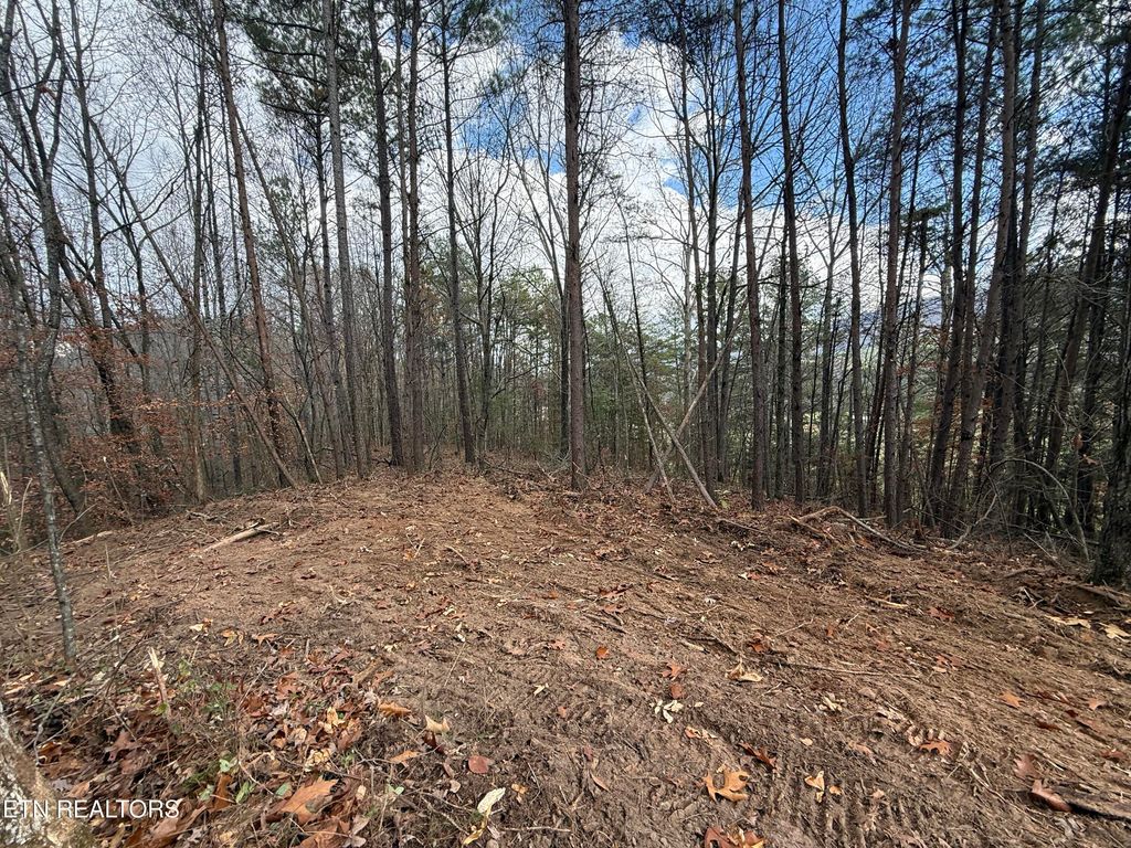 Photo of 3 Parksville Road, Benton, TN 37307 (MLS # 1322751)