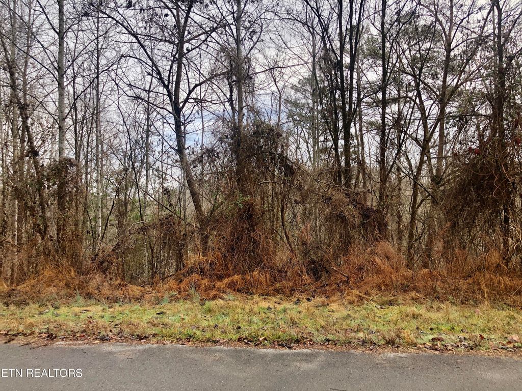 Photo of Mystic Star Drive, New Tazewell, TN 37825 (MLS # 1251788)
