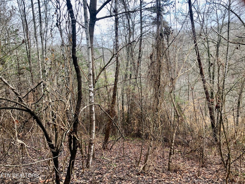Photo of Mystic Star Drive, New Tazewell, TN 37825 (MLS # 1251788)