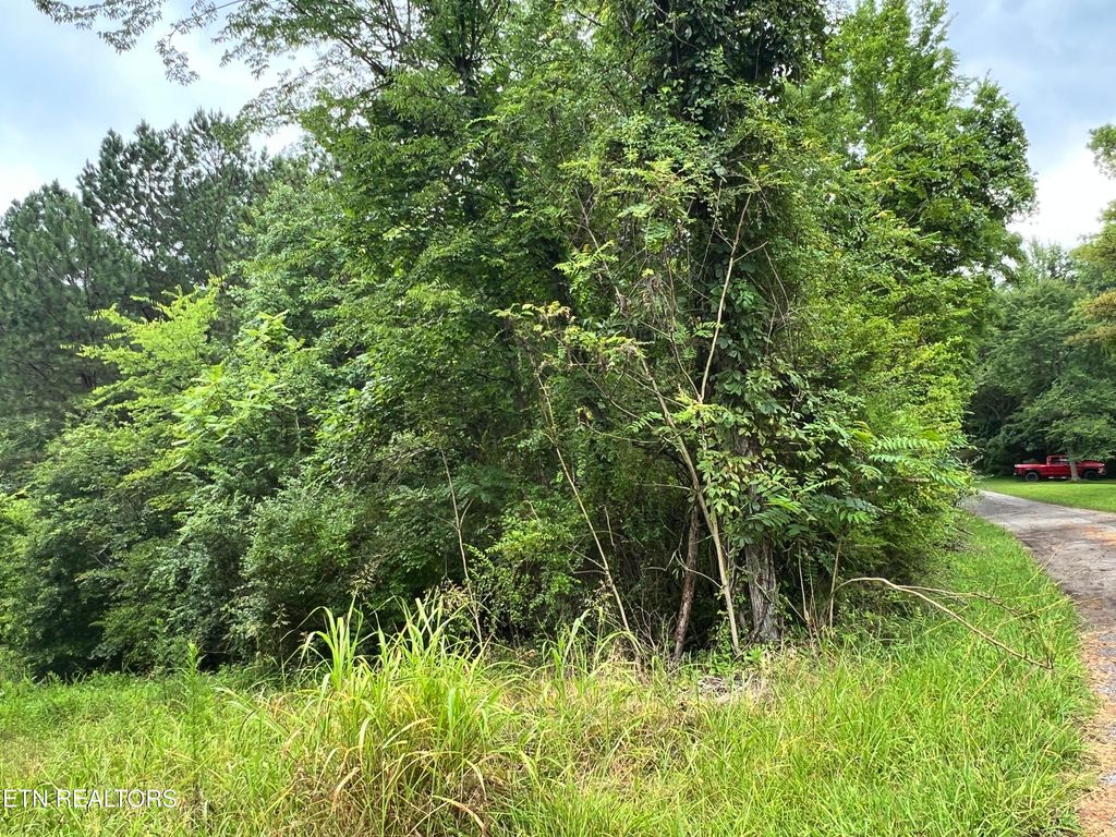 Photo of Lot 2 Prigmore Ridge Rd, Decatur, TN 37322 (MLS # 1310631)