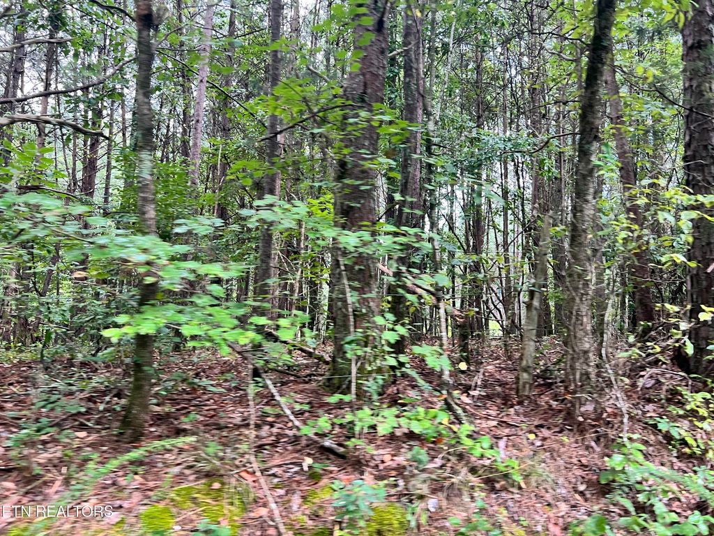 Photo of Lot 2 Prigmore Ridge Rd, Decatur, TN 37322 (MLS # 1310631)