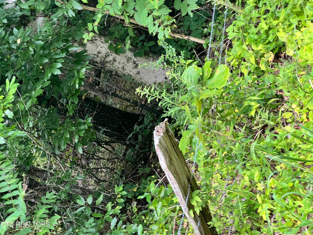 Photo of Lot 2 Prigmore Ridge Rd, Decatur, TN 37322 (MLS # 1310631)