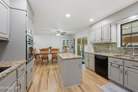 Tiny photo for 344 County Road 189, Decatur, TN 37322 (MLS # 1342062)