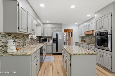 Tiny photo for 344 County Road 189, Decatur, TN 37322 (MLS # 1342062)