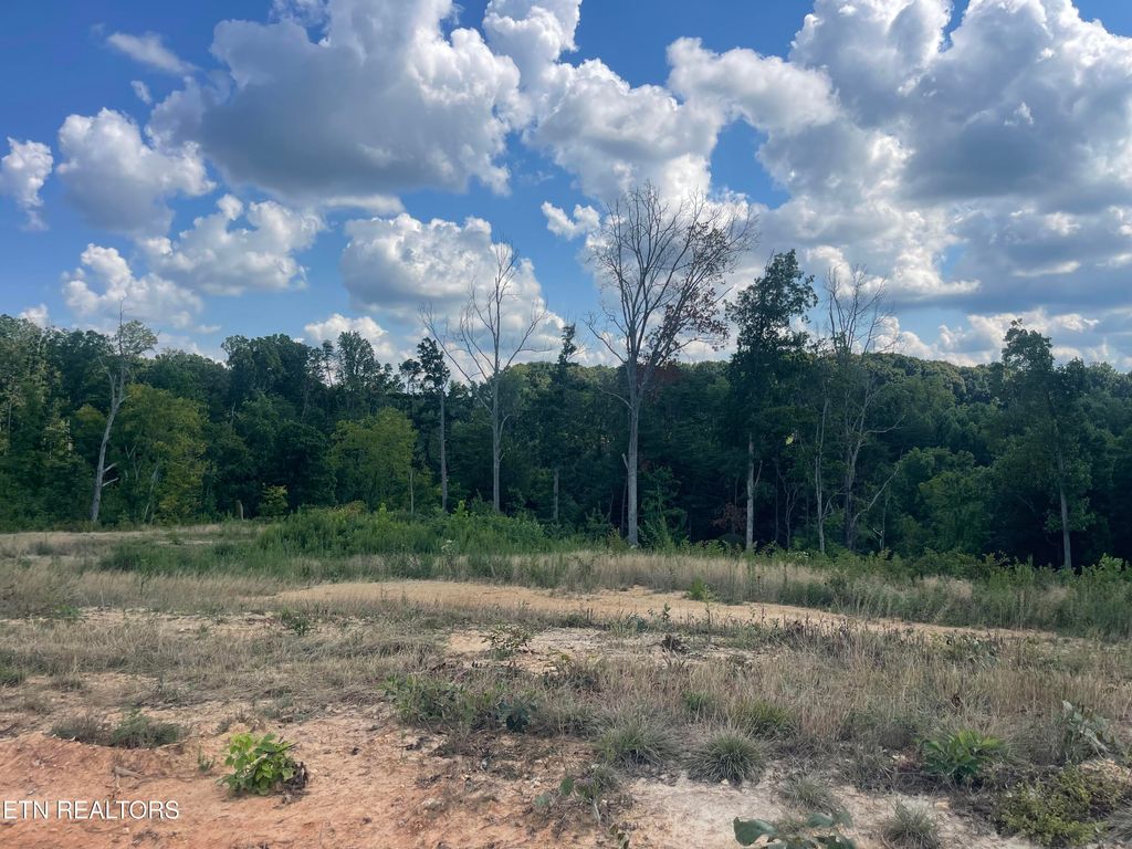 Photo of 13 Laura Boling Loop Rd, Strawberry Plains, TN 37871 (MLS # 1313168)