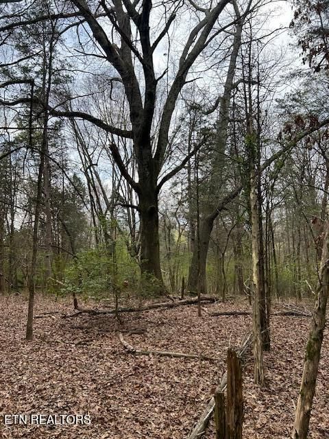 907 Stephanie Lane Athens TN 37303