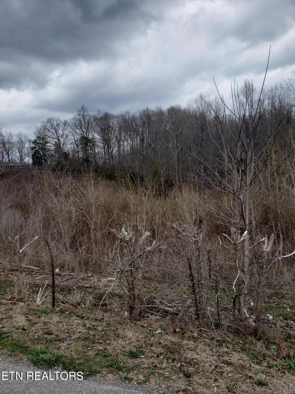 Photo of W High Knob Rd, LaFollette, TN 37766 (MLS # 1351868)