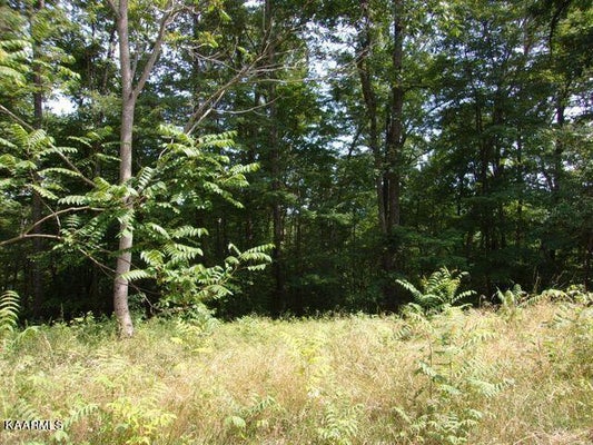 195 MARBLE POINT WAY, NEW TAZEWELL, TN 37825 - Image d532cb08d5440cc62e68a04fb0b3f550/1347408730
