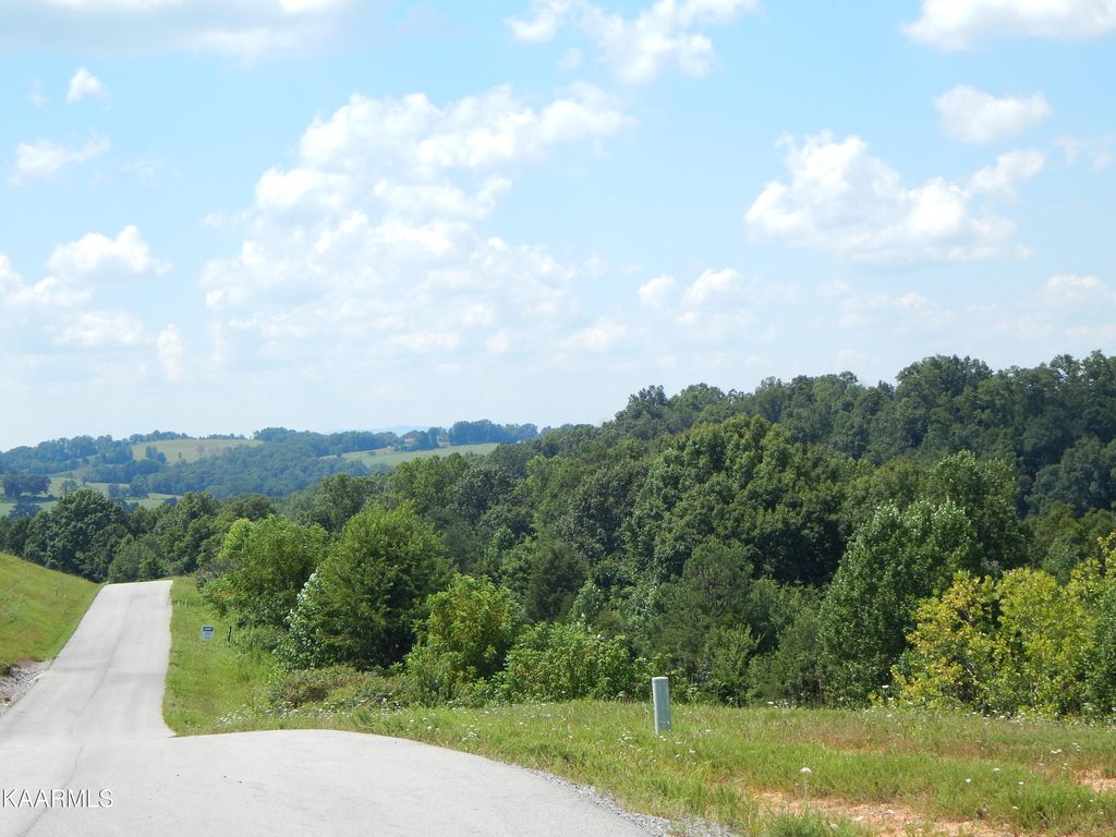 Photo of 254 Marble Point Way, New Tazewell, TN 37825 (MLS # 1182692)