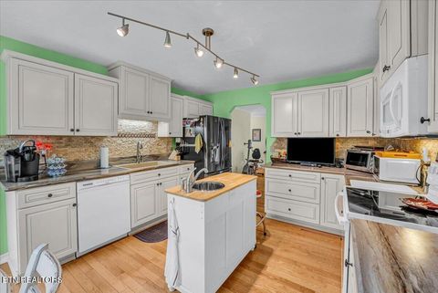 Tiny photo for 228 Florence Circle, Dandridge, TN 37725 (MLS # 1331496)