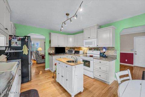 Tiny photo for 228 Florence Circle, Dandridge, TN 37725 (MLS # 1331496)