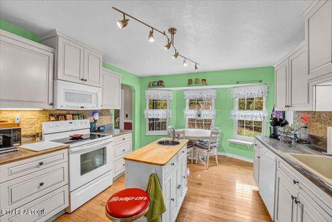 Tiny photo for 228 Florence Circle, Dandridge, TN 37725 (MLS # 1331496)