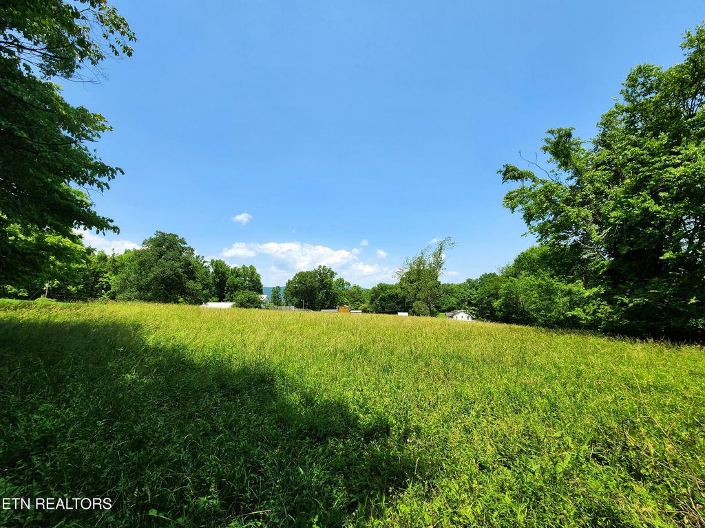 Photo of McCormick Lane, Harriman, TN 37748 (MLS # 1303362)