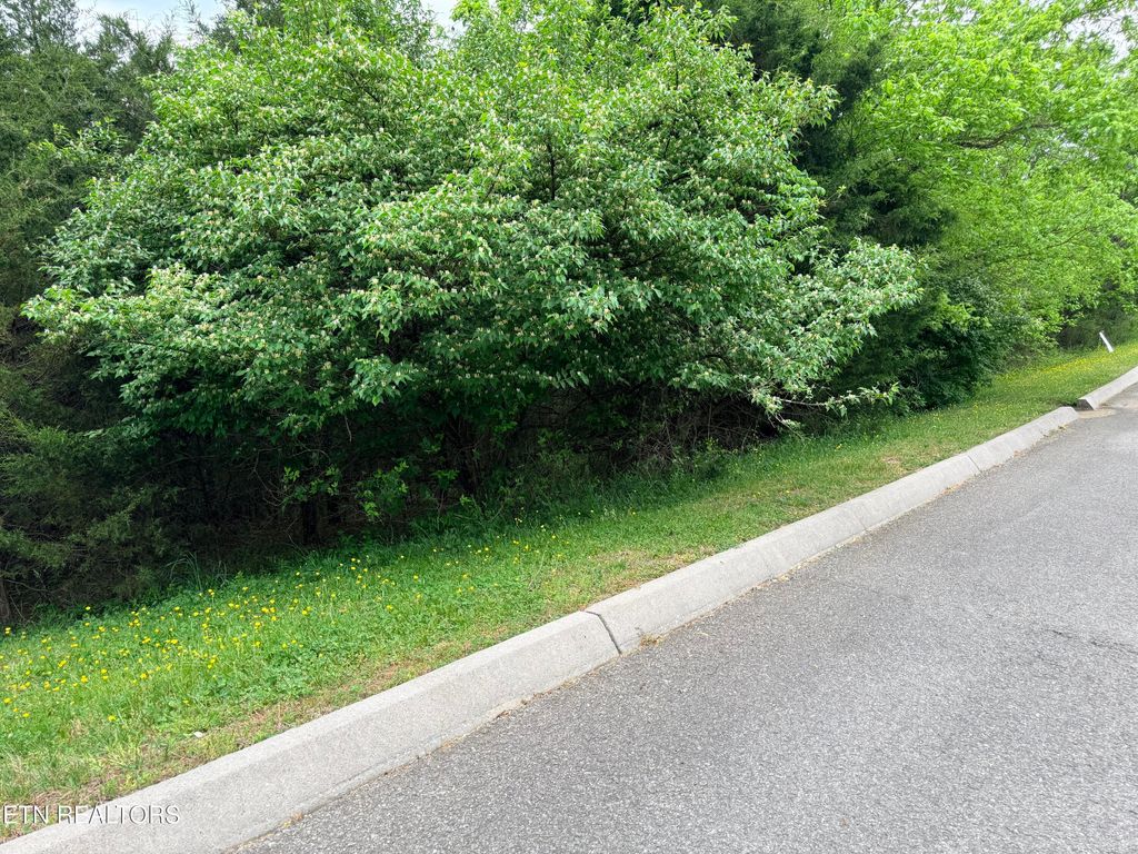Photo of Wedge Way #Lot 206, Tazewell, TN 37879 (MLS # 1337427)