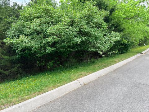 Photo of Wedge Way #Lot 206, Tazewell, TN 37879 (MLS # 1337427)