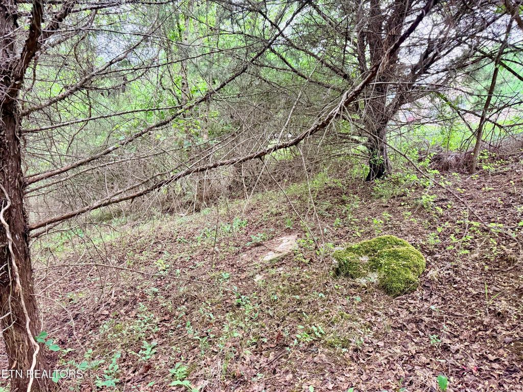 Photo of Wedge Way #Lot 206, Tazewell, TN 37879 (MLS # 1337427)