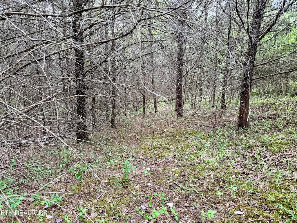 Photo of Wedge Way #Lot 206, Tazewell, TN 37879 (MLS # 1337427)