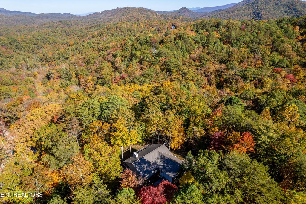 Photo of 1621 Walnut Flats Rd, Walland, TN 37886 (MLS # 1238625)