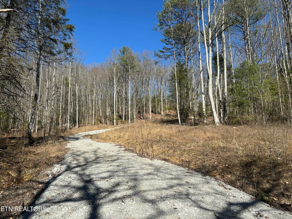 Photo of 16305 E Highway 70, Rockwood, TN 37854 (MLS # 1337605)