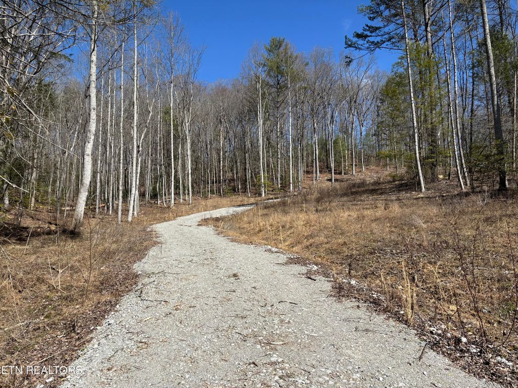 Photo of 16305 E Highway 70, Rockwood, TN 37854 (MLS # 1337605)