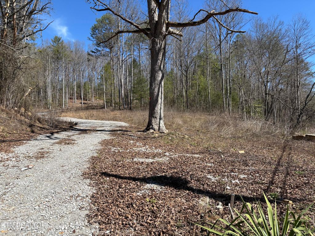 Photo of 16305 E Highway 70, Rockwood, TN 37854 (MLS # 1337605)