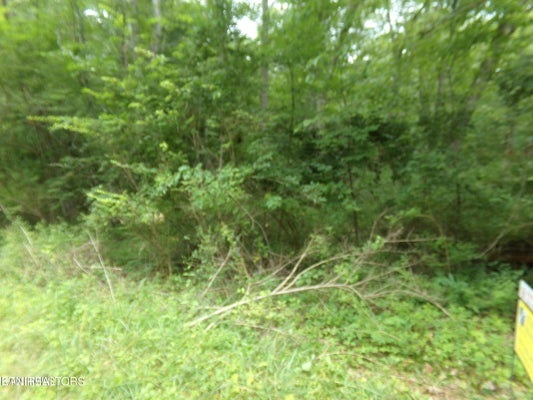 1302 BLACK CLOUD DR, CROSSVILLE, TN 38572 - Image d55045fbffa5bef9201fcd78e830b105/2938176400