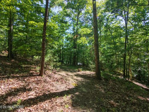 Photo of Boulder Way, Newport, TN 37821 (MLS # 1341077)