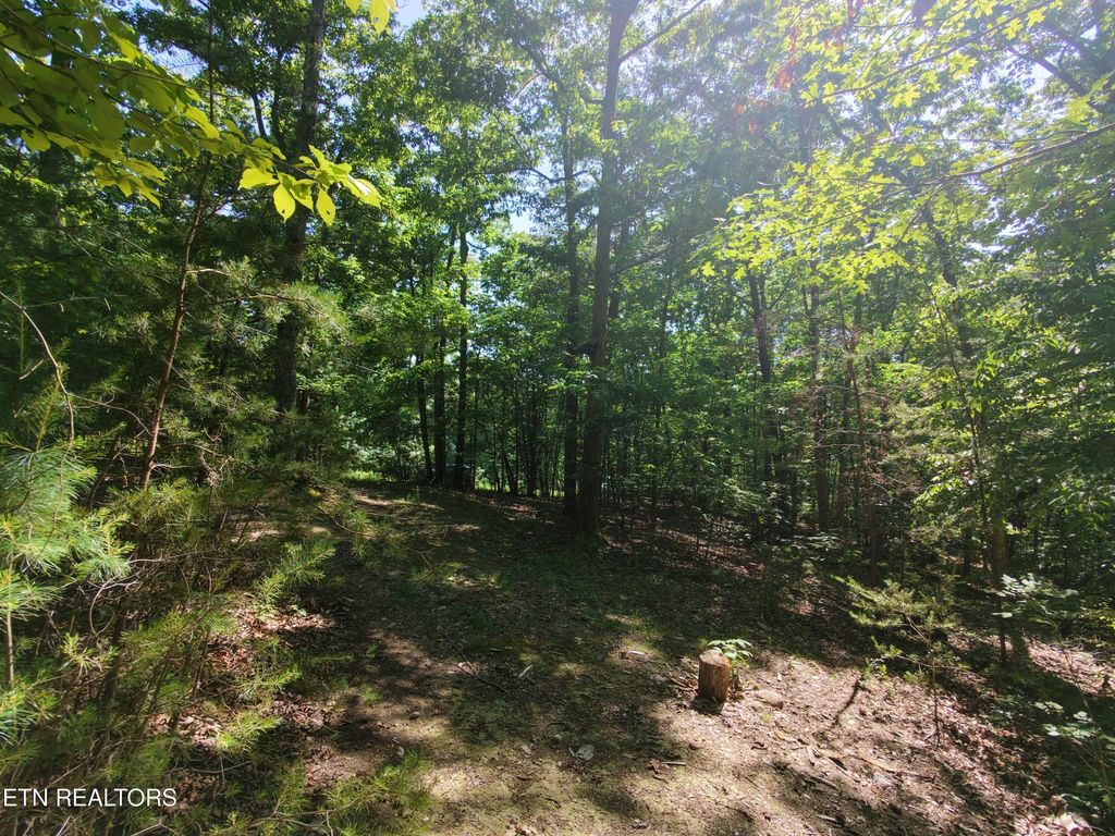 Photo of Boulder Way, Newport, TN 37821 (MLS # 1341077)